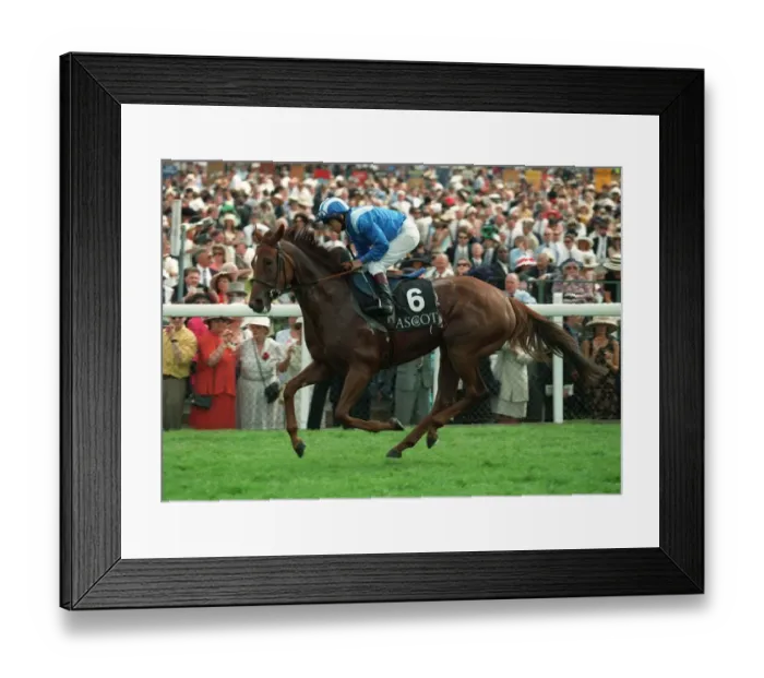 Framed Print : Ta Rib Ridden By W.Carson 09 July 1996 Date: 09 July 1996 Framed Print : Ta Rib Ridden By W.Carson 09 July 1996 Date: 09 July 1996