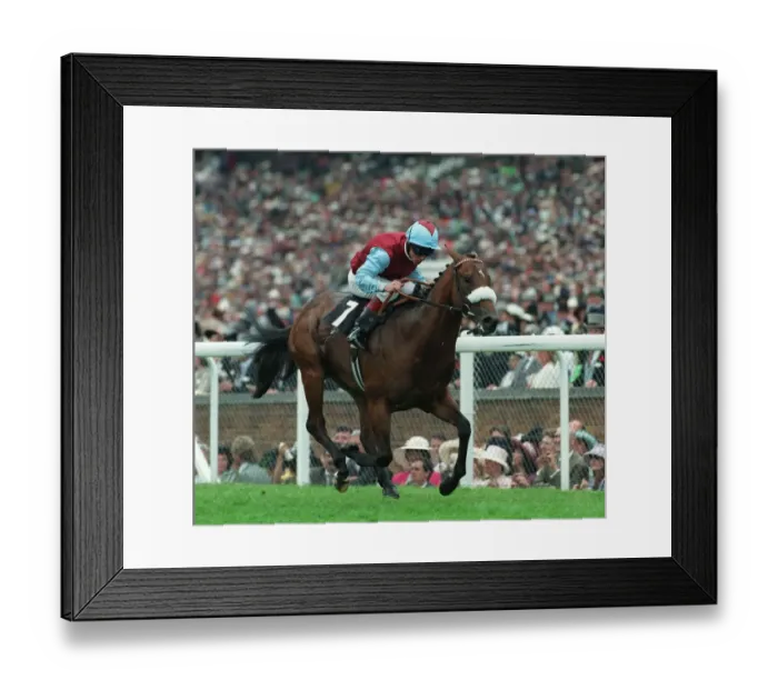 Framed Print : Raphane Ridden By K.Darley 09 July 1996 Date: 09 July 1996 Framed Print : Raphane Ridden By K.Darley 09 July 1996 Date: 09 July 1996