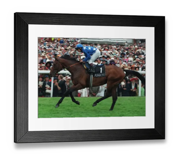 Framed Print : Always Aloof Framed Print : Always Aloof
