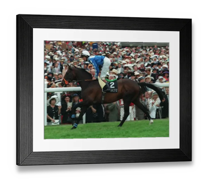 Framed Print : Assessor Ridden By R.Hughes 09 July 1996 Date: 09 July 1996 Framed Print : Assessor Ridden By R.Hughes 09 July 1996 Date: 09 July 1996