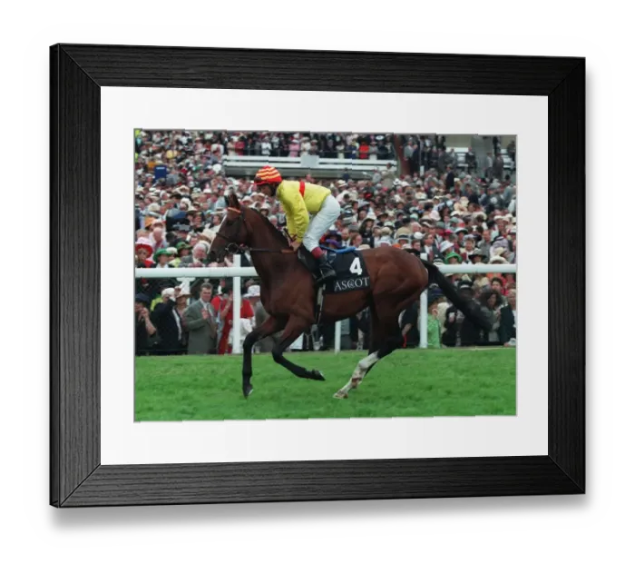 Framed Print : Latahaab Ridden By T.Quinn 09 July 1996 Date: 09 July 1996 Framed Print : Latahaab Ridden By T.Quinn 09 July 1996 Date: 09 July 1996