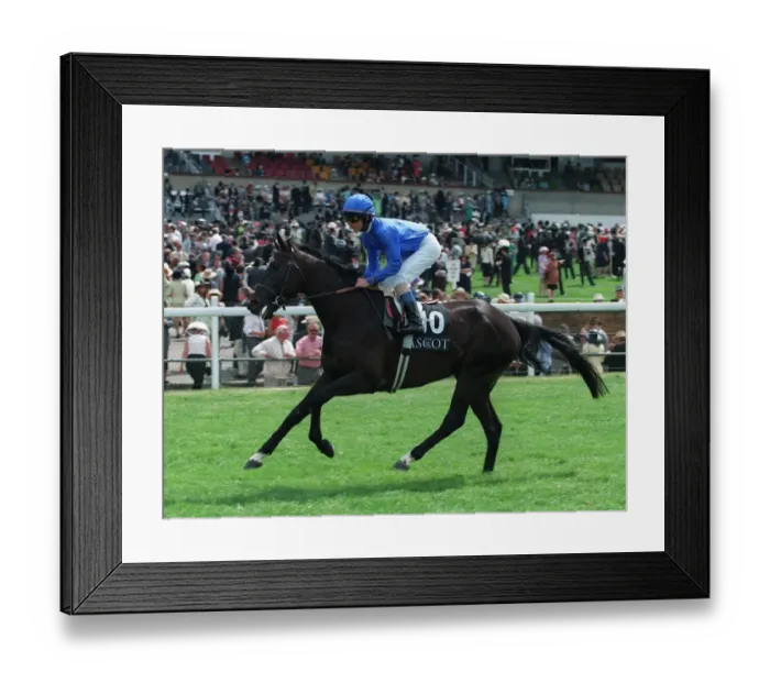 Framed Print : Tamayaz Ridden By O.Peslier 09 July 1996 Date: 09 July 1996 Framed Print : Tamayaz Ridden By O.Peslier 09 July 1996 Date: 09 July 1996