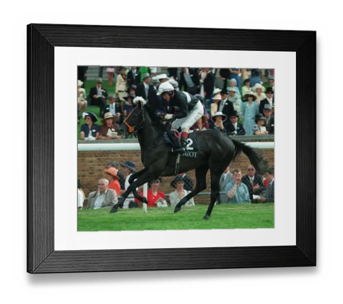 Framed Print : Deadly Dudley Framed Print : Deadly Dudley