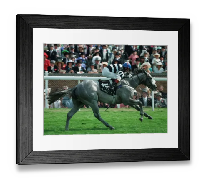 Framed Print : Verglas Wins Coventry Stks Framed Print : Verglas Wins Coventry Stks