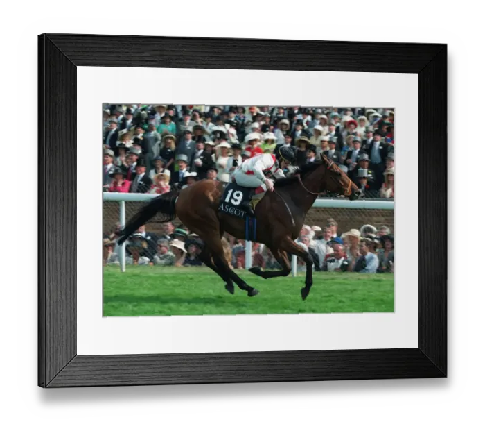 Framed Print : Yeas Wins Royal Hunt Cup Framed Print : Yeas Wins Royal Hunt Cup