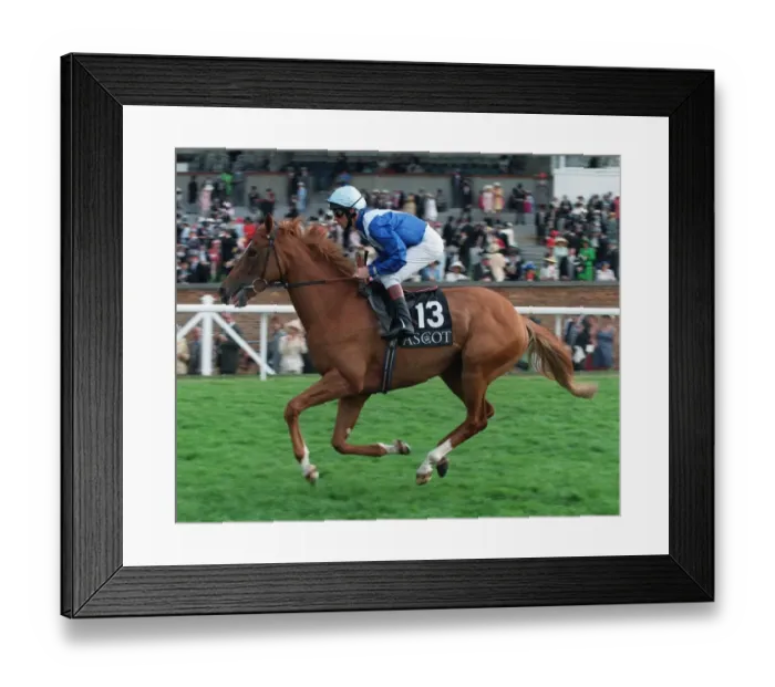 Framed Print : Wilawander Framed Print : Wilawander