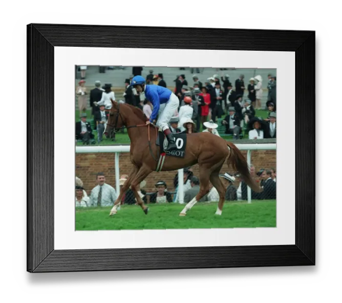 Framed Print : Isla Del Rey Framed Print : Isla Del Rey