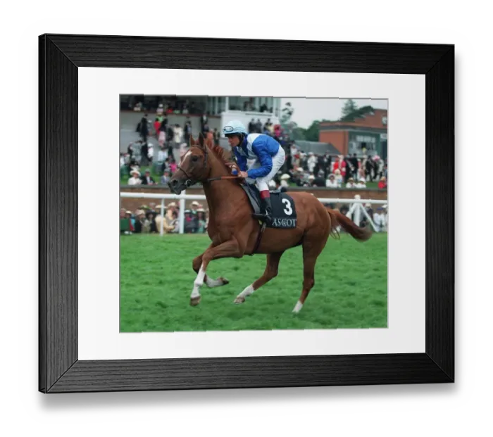 Framed Print : Iktamal Ridden By Paul Eddery 09 July 1996 Date: 09 July 1996 Framed Print : Iktamal Ridden By Paul Eddery 09 July 1996 Date: 09 July 1996