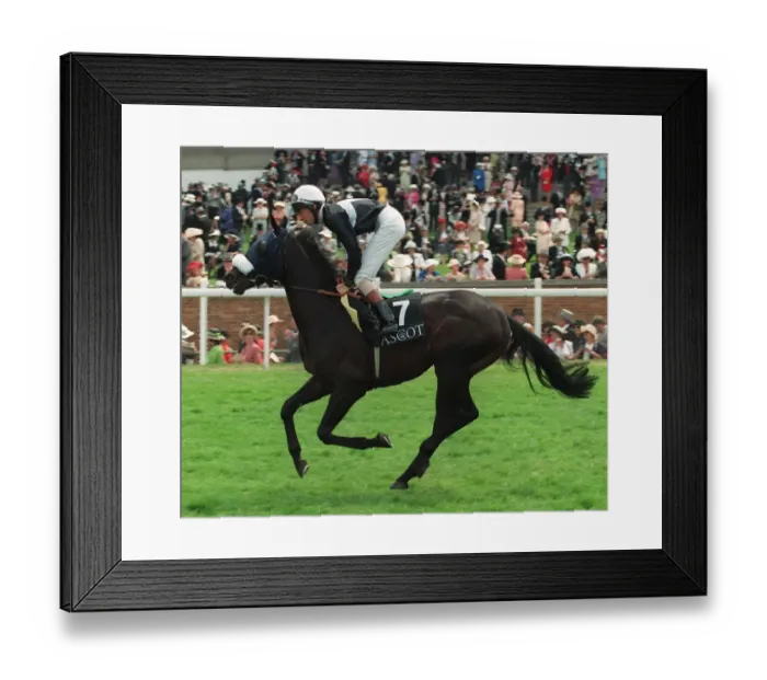 Framed Print : Lucayan Prince