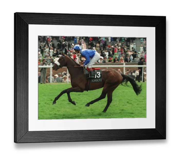 Framed Print : Tamhid Ridden By R.Hills 09 July 1996 Date: 09 July 1996 Framed Print : Tamhid Ridden By R.Hills 09 July 1996 Date: 09 July 1996