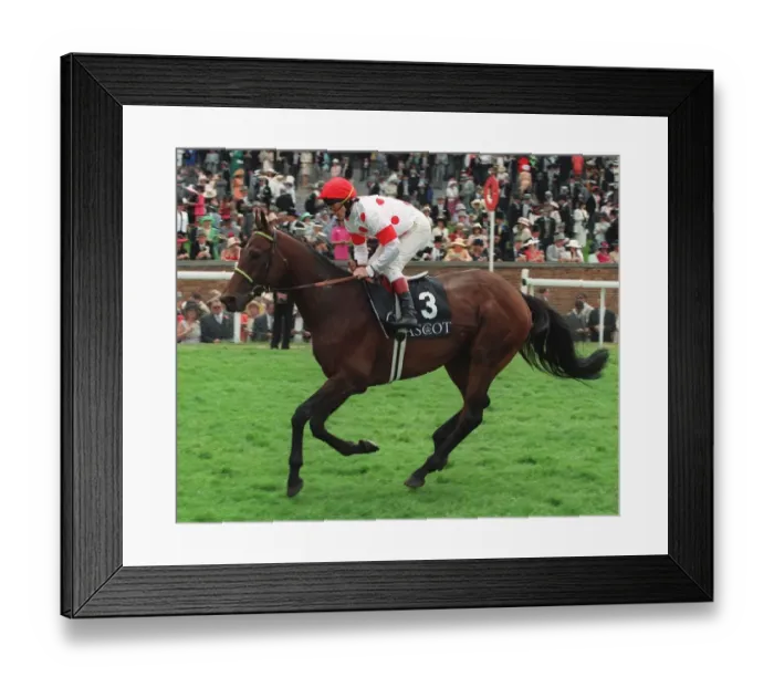 Framed Print : General Academy Framed Print : General Academy