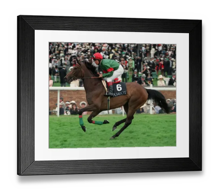 Framed Print : Magnificient Style Framed Print : Magnificient Style