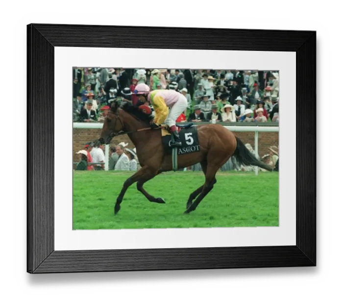 Framed Print : King Of The East Framed Print : King Of The East