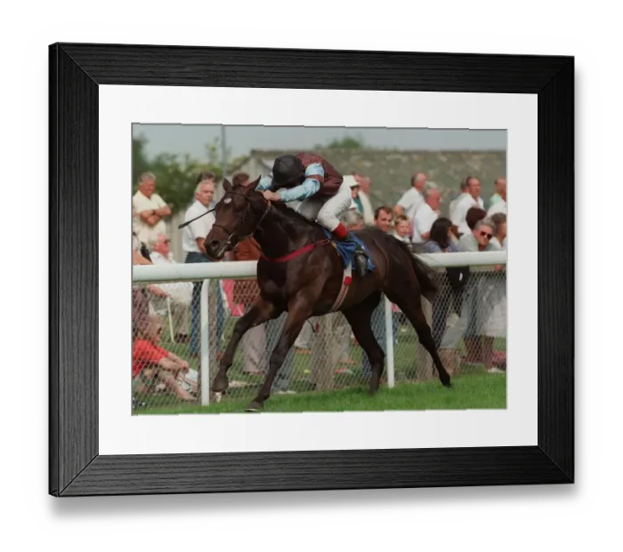 Framed Print : Falkenham Ridden By T.Quinn 31 August 1996 Date: 31 August 1996 Framed Print : Falkenham Ridden By T.Quinn 31 August 1996 Date: 31 August 1996