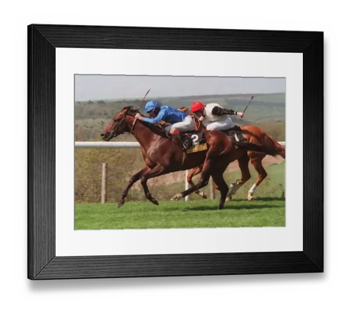 Framed Print : Don Michrlletto & M, Kinane Framed Print : Don Michrlletto & M, Kinane