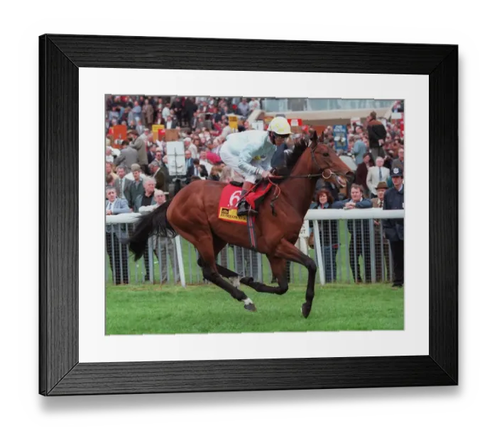 Framed Print : Nash House Framed Print : Nash House