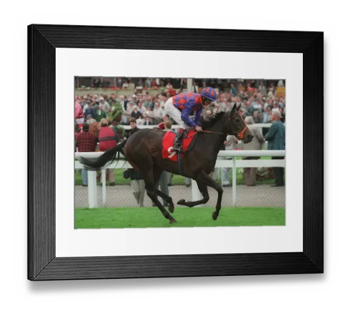 Framed Print : Raindancing