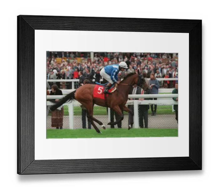 Framed Print : Fernanda Ridden By W.Carson 17 September 1996 Date: 17 September 1996