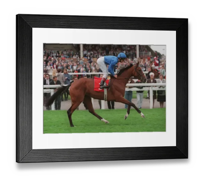 Framed Print : Bint Baladee Framed Print : Bint Baladee