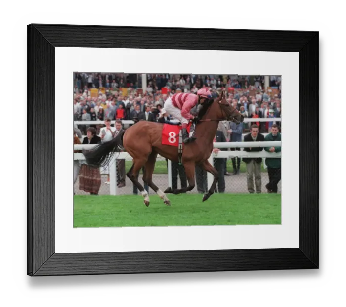 Framed Print : Quintellina Framed Print : Quintellina