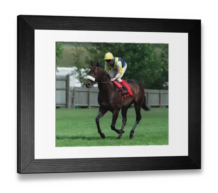 Framed Print : Mind Games Framed Print : Mind Games