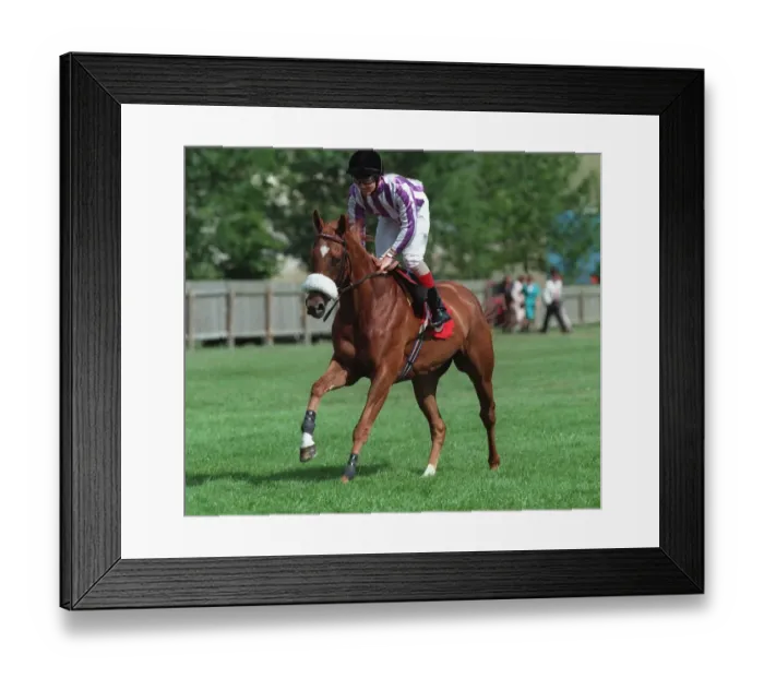 Framed Print : Myself Ridden By D.Harrison 18 September 1996 Date: 18 September 1996 Framed Print : Myself Ridden By D.Harrison 18 September 1996 Date: 18 September 1996