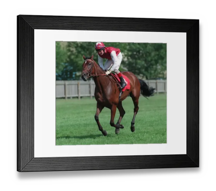 Framed Print : Sensation Ridden By M.Kinane 18 September 1996 Date: 18 September 1996