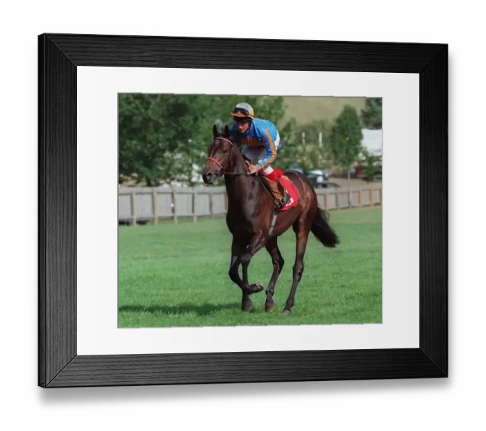 Framed Print : Bold Orienal Framed Print : Bold Orienal