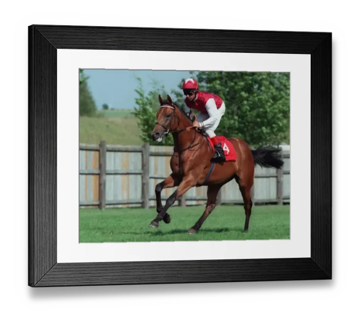 Framed Print : Compatibility Framed Print : Compatibility