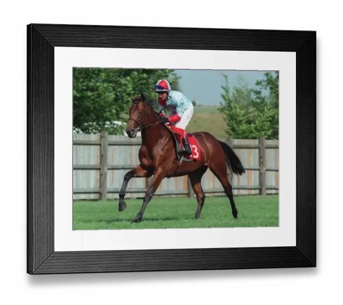 Framed Print : White Hot Ridden By K.Darley 18 September 1996 Date: 18 September 1996 Framed Print : White Hot Ridden By K.Darley 18 September 1996 Date: 18 September 1996