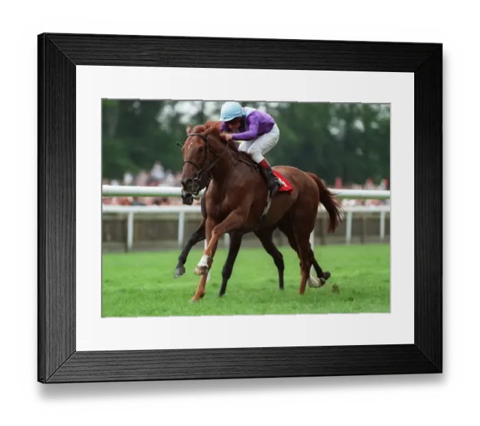 Framed Print : Persian Punch (Richard Quinn) Framed Print : Persian Punch (Richard Quinn)