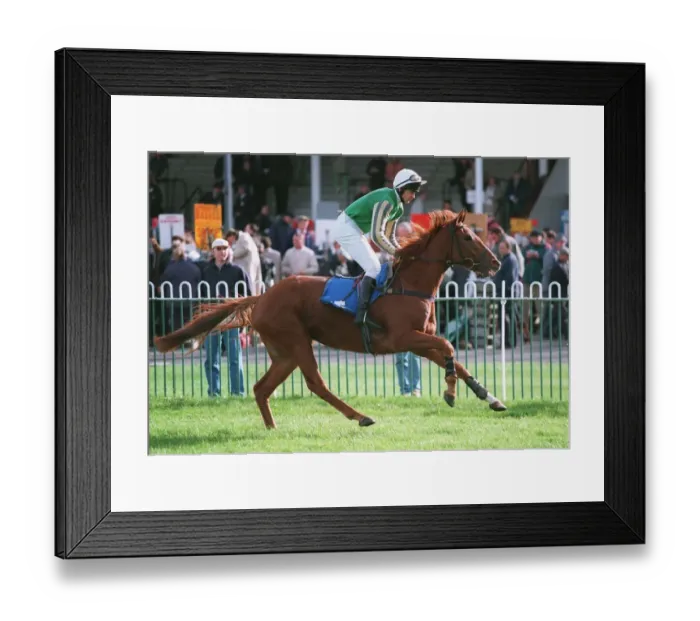 Framed Print : Propolis Power Framed Print : Propolis Power