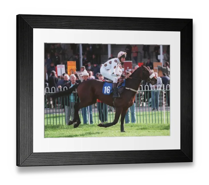 Framed Print : Son Of Anshan Framed Print : Son Of Anshan