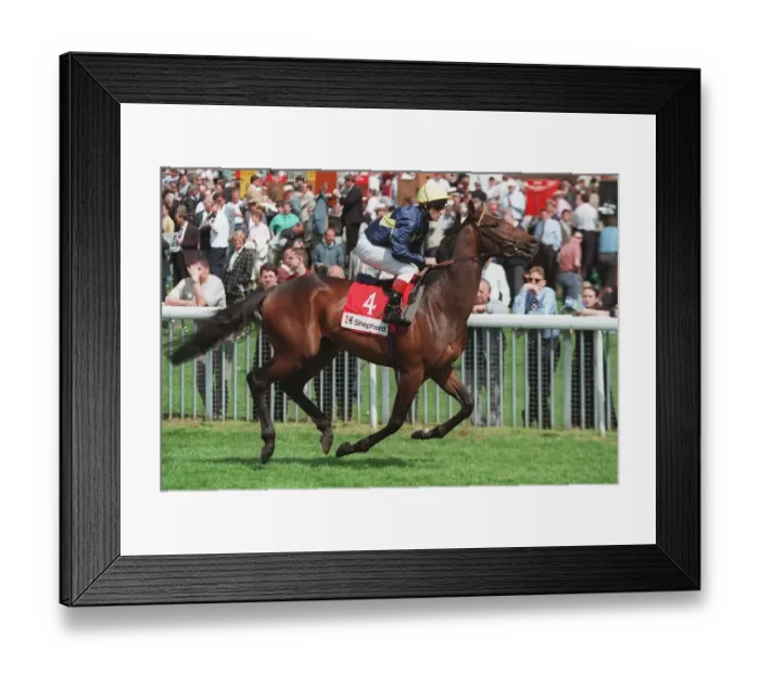 Framed Print : Dombey Racehorse 17 May 1996 Date: 17 May 1996 Framed Print : Dombey Racehorse 17 May 1996 Date: 17 May 1996