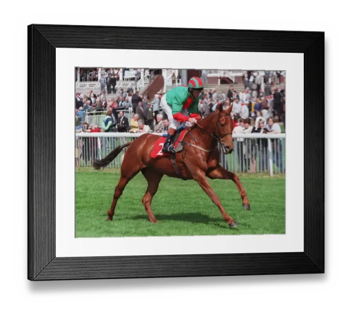 Framed Print : Double Blue Framed Print : Double Blue