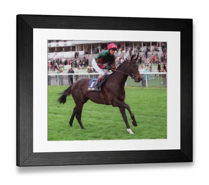 Framed Print : King Of Peru Framed Print : King Of Peru