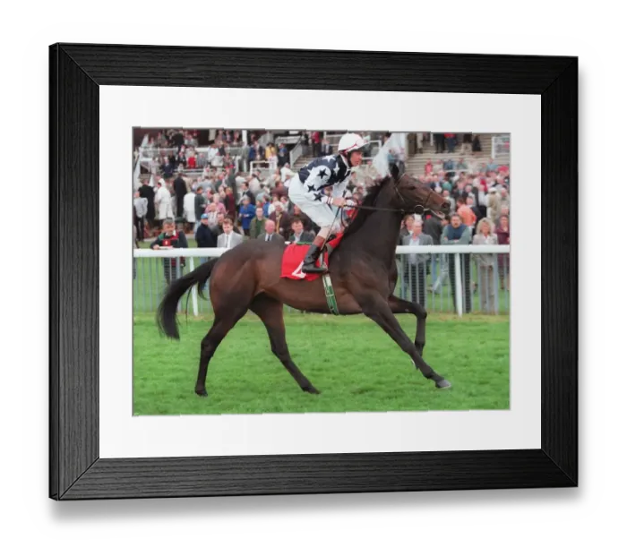 Framed Print : Mironov Racehorse 17 May 1996 Date: 17 May 1996 Framed Print : Mironov Racehorse 17 May 1996 Date: 17 May 1996