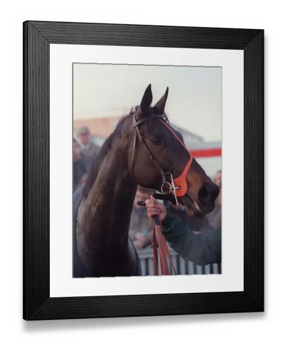 Framed Print : Dublin Flyer