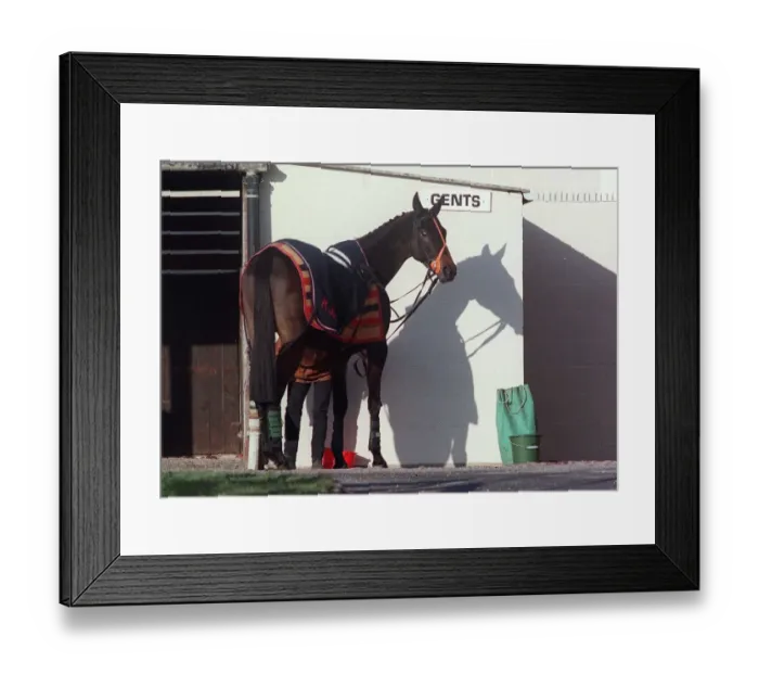 Framed Print : No Room Big Boy Framed Print : No Room Big Boy