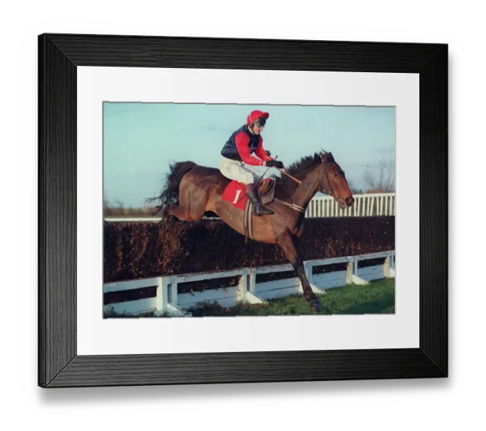 Framed Print : Gales Cavalier Framed Print : Gales Cavalier