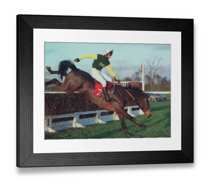 Framed Print : Dublin Flyer
