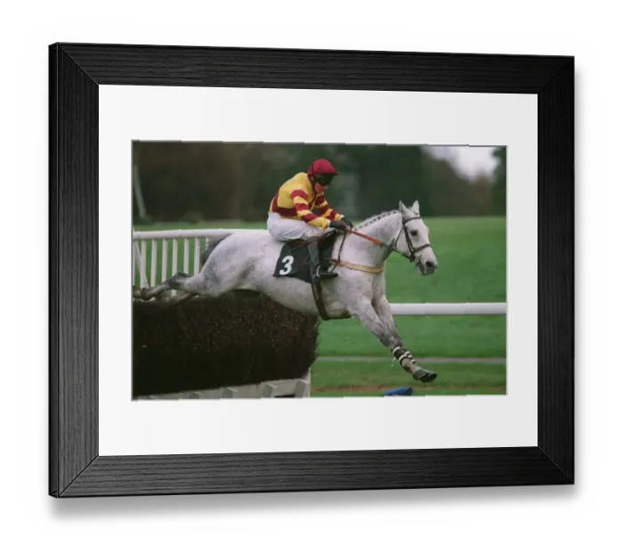 Framed Print : Naiysari Ridden By W.Marston 13 November 1996 Date: 13 November 1996