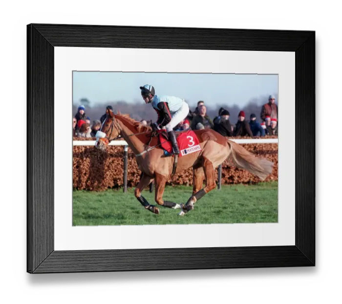 Framed Print : Mr Mulligan Framed Print : Mr Mulligan