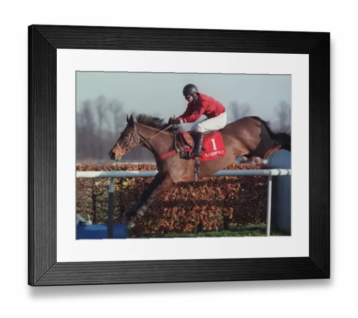 Framed Print : Aardwolf Ridden By G.Bradley 16 January 1997 Date: 16 January 1997 Framed Print : Aardwolf Ridden By G.Bradley 16 January 1997 Date: 16 January 1997