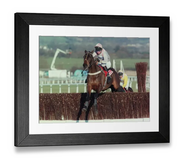 Framed Print : Pashto Ridden By J.Osborne 11 February 1997 Date: 11 February 1997 Framed Print : Pashto Ridden By J.Osborne 11 February 1997 Date: 11 February 1997