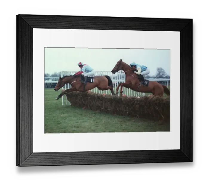 Framed Print : Ocean Hawk & Pleasure Shared Framed Print : Ocean Hawk & Pleasure Shared