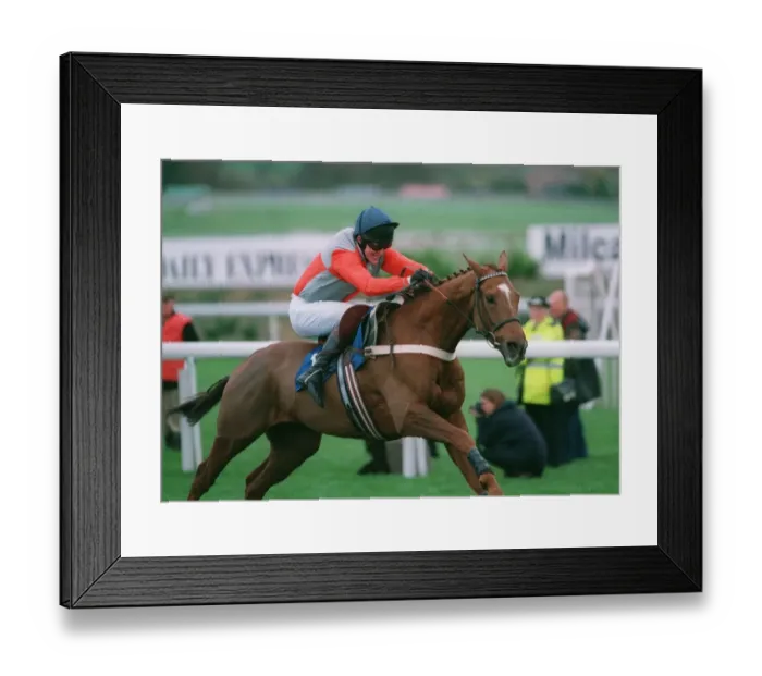 Framed Print : Celibate Ridden By Tony Mccoy 13 November 1996 Date: 13 November 1996 Framed Print : Celibate Ridden By Tony Mccoy 13 November 1996 Date: 13 November 1996