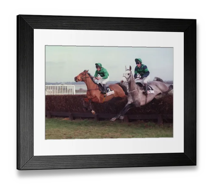 Framed Print : Arctic Kinsman & Dancing Paddy