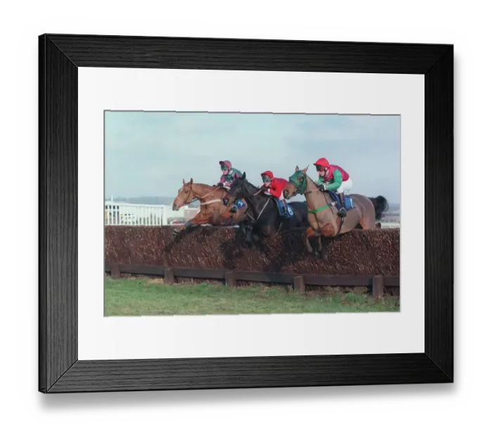 Framed Print : Golden Spinner, Around The Horn Framed Print : Golden Spinner, Around The Horn