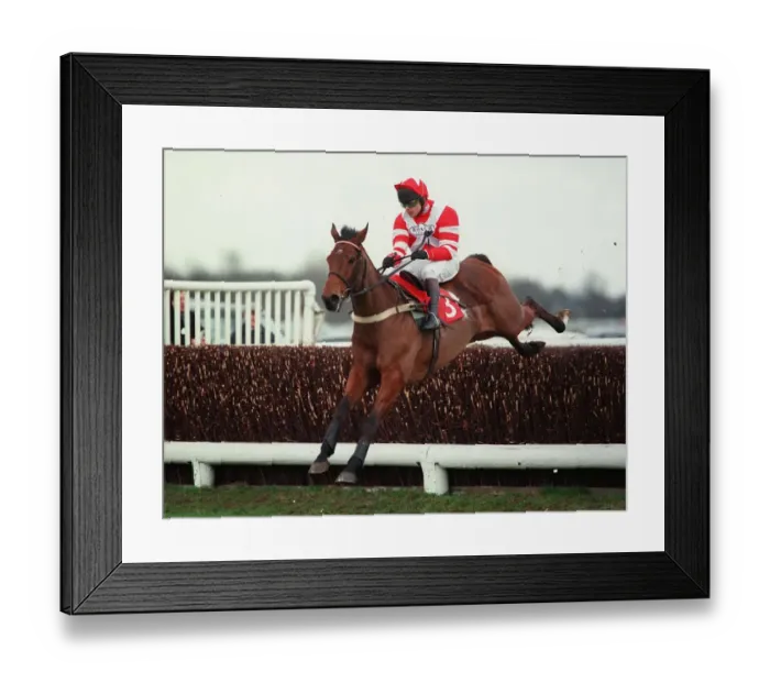 Framed Print : Viking Flagship Framed Print : Viking Flagship